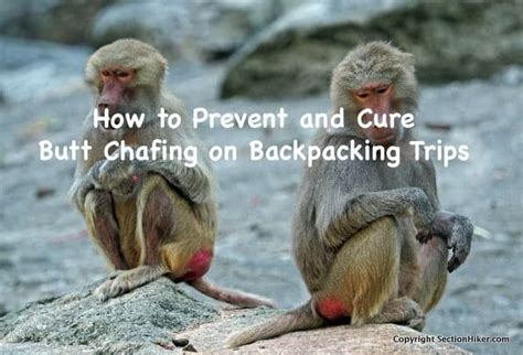 monkey butt cheeks|How to Cure and Prevent Butt Chafing on Backpacking Trips.